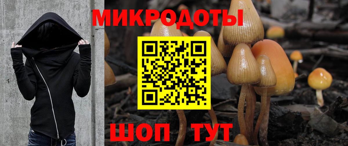 Галлюциногенные грибы Psilocybe  Вход с VPN  Керчь  Галлюциногенные грибы GOLDEN TEACHER 