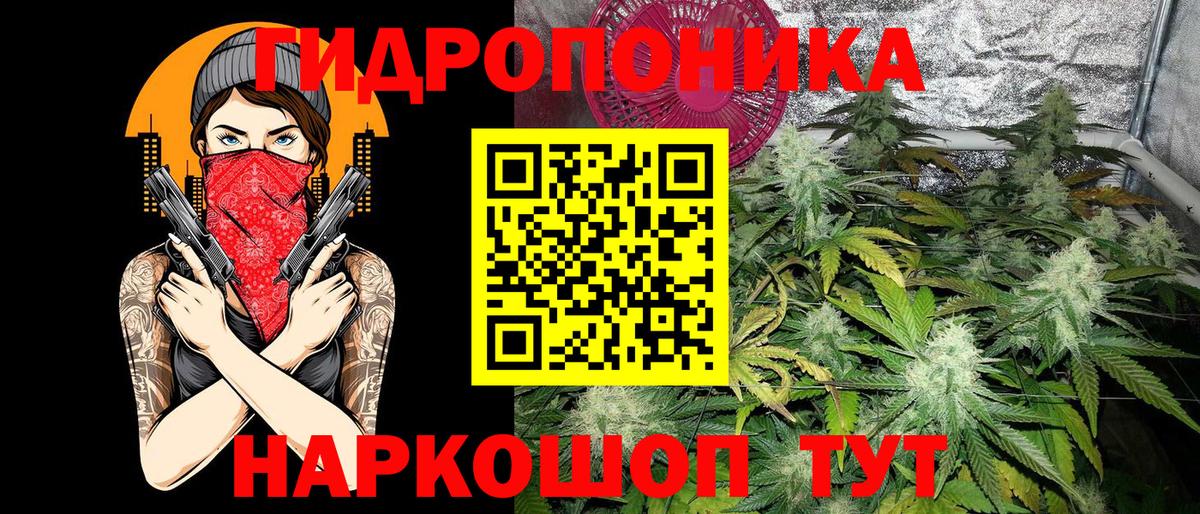 Канабис планчик Керчь